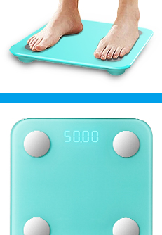 Features de SF1 Smart Body Fat Scale